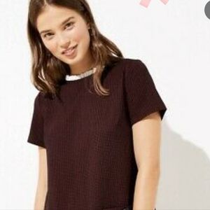 LOFT Rich Brown Short Sleeve Dress